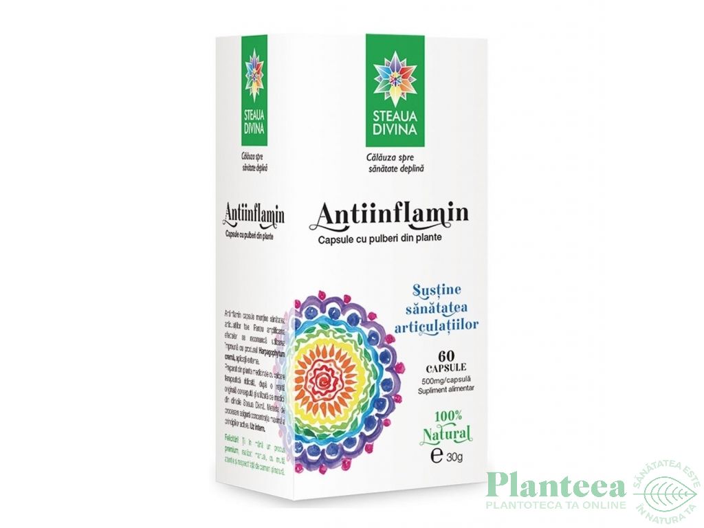 AntiInflamin 60cps - SANTO RAPHAEL