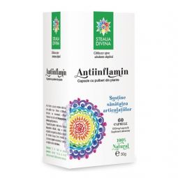 AntiInflamin 60cps - SANTO RAPHAEL