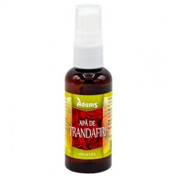 Apa florala trandafiri spray 50ml - ADAMS