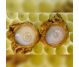 Laptisor matca 30% in miere 225g - APICOL SCIENCE