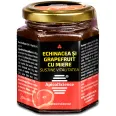 Remediu apicol Sustine Vitalitatea echinaceea grapefruit miere 225g - APICOL SCIENCE