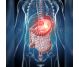 Remediu apicol Pancreatic 225g - APICOL SCIENCE