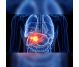 Remediu apicol Hepatic regenerare 225g - APICOL SCIENCE