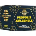 Crema super protectiva propolis galbenele 75ml - APICOL SCIENCE