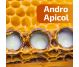 Remediu apicol Andro Apicol 230g - APICOL SCIENCE