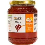 Miere poliflora cruda conventional 1kg - APILAND