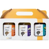 Pachet Miere cruda [tei poliflora salcam] conventional 3x500g - APILAND