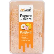 Fagure cu miere poliflora 200g - APILAND