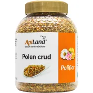 Polen crud poliflor 500g - APILAND