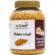 Polen crud trandafir salbatic mar 500g - APILAND