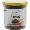 Pastura granule conventional 100g - APILAND