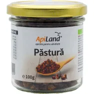 Pastura granule conventional 100g - APILAND