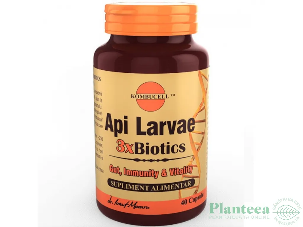 Api Larvae 3xbiotics 40cps - KOMBUCELL