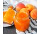 Pachet 2 Dulceturi [Visine+Caise] fara zahar 2x360g - BUN DE TOT