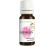 Ulei esential geraniu 10ml - AQUA NANO