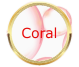 Sapun lichid clasic fara ulei esential Coral 500ml - AQUA NANO