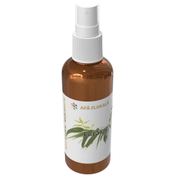 Apa florala naturala eucalipt 100ml - AQUA NANO