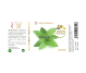 Apa florala naturala menta 100ml - AQUA NANO