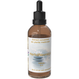 Extract concentrat plante medicinale antiinflamator HerbaNevralgic 100ml - AQUA NANO