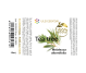Ulei esential tea tree 10ml - AQUA NANO