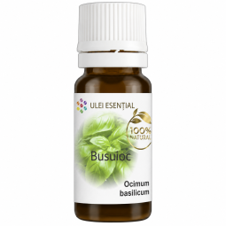 Ulei esential busuioc 10ml - AQUA NANO