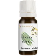 Ulei esential eucalipt 10ml - AQUA NANO