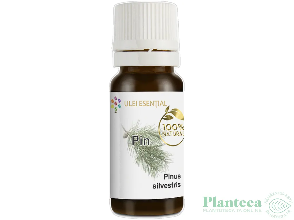 Ulei esential pin 10ml - AQUA NANO