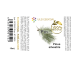 Ulei esential pin 10ml - AQUA NANO