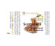 Ulei esential scortisoara 10ml - AQUA NANO