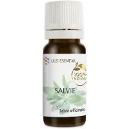 Ulei esential salvie 10ml - AQUA NANO