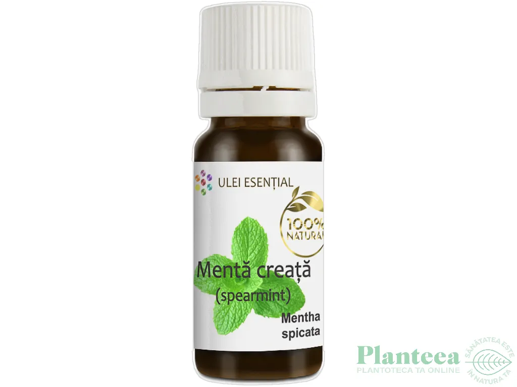 Ulei esential spearmint 10ml - AQUA NANO