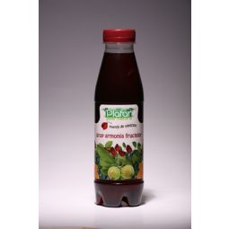 Sirop armonia fructelor 500ml - PLAFAR