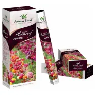 Betisoare parfumate Pleasure of summer 20b - AROMA LAND
