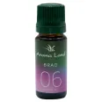 Ulei parfumat brad 10ml - AROMA LAND
