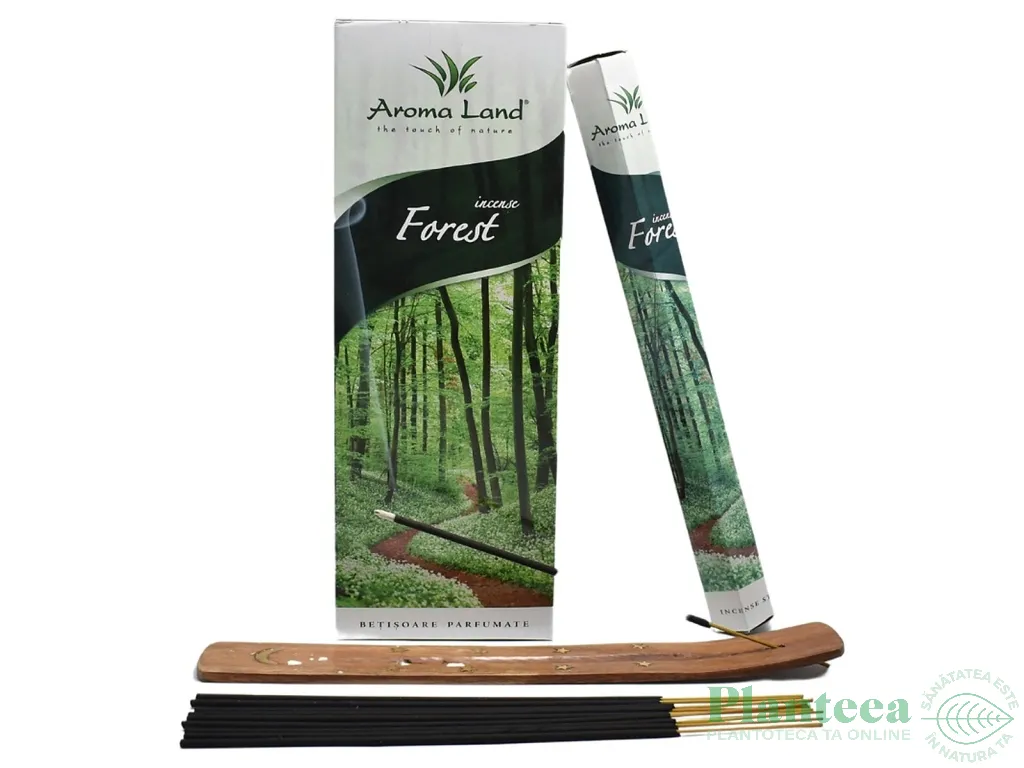 Betisoare parfumate Forest 20b - AROMA LAND