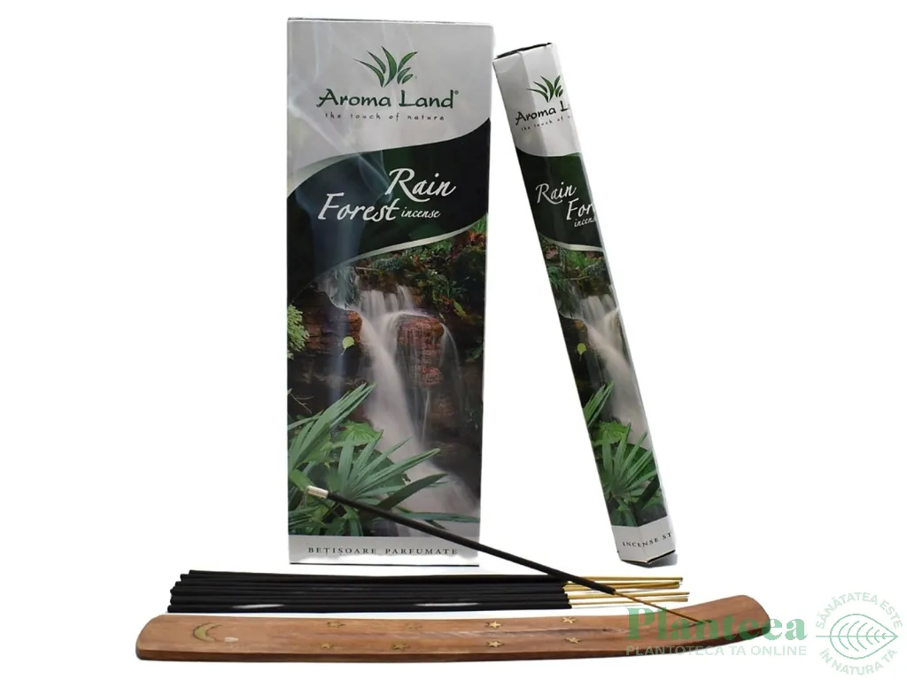 Betisoare parfumate Rain forest 20b - AROMA LAND