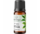 Ulei aromatic ceai verde nr80 10ml - AROMATIQUE