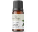 Kit 5 uleiuri aromo Esente Sarbatoare [Cuisoare+Portocala+Santal+Scortisoara+Vanilie] 10ml - AROMATIQUE