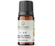 Kit 7 uleiuri aromo Esente Sarbatoare [Cuisoare+Lamaie+Pin+Portocala+Santal+Scortisoara+Vanilie] 10ml - AROMATIQUE