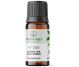 Ulei aromatic ceai verde nr80 10ml - AROMATIQUE