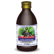 Sirop aronia cu zahar invertit 250ml - HYPERICUM PLANT