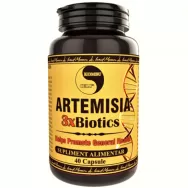 Artemisia 3xbiotics 40cps - KOMBUCELL