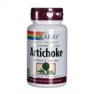 Artichoke extract 300mg 60cps - SOLARAY