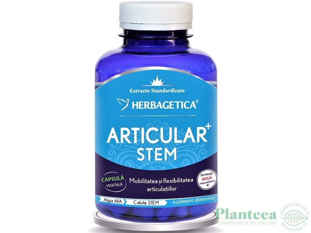 Articular stem 120cps - HERBAGETICA