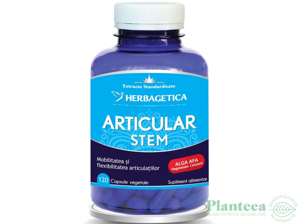 Articular stem 60cps - HERBAGETICA