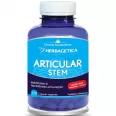 Articular stem 60cps - HERBAGETICA