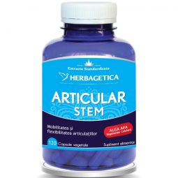 Articular stem 60cps - HERBAGETICA