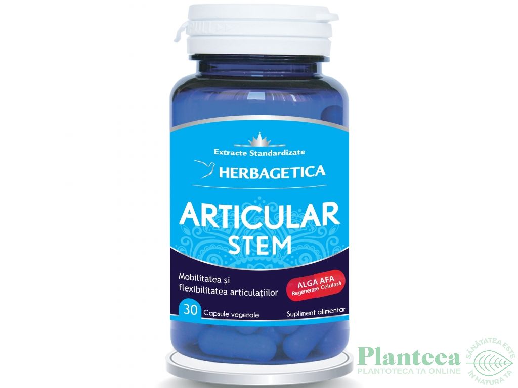 Articular stem 30cps - HERBAGETICA