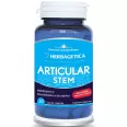 Articular stem 30cps - HERBAGETICA