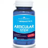 Articular stem 30cps - HERBAGETICA